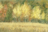 Mini Gallery Image 11