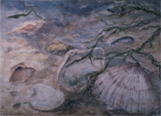 Mini Gallery Image 17